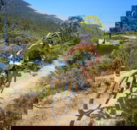 TreX Cross Triathlon Series  Snowy Mountains - Sunshine Coast Tourism