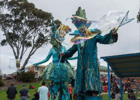 Tulip Festival Wynyard - Sunshine Coast Tourism 0