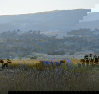 Tumut Cycle Classic - Sunshine Coast Tourism