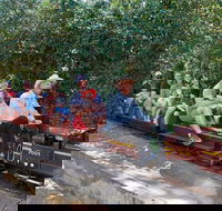 Twilight Run   Willans Hill Miniature Railway - Sunshine Coast Tourism