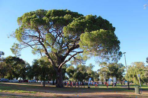 Wagga Parkrun - Holiday Sunshine Coast 1