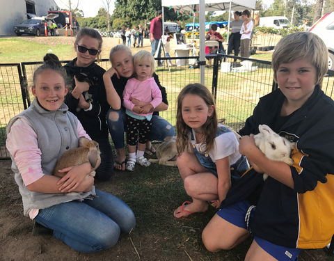 Whittlesea Monday Market - Holiday Sunshine Coast 1