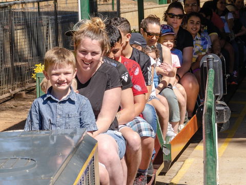 Willans Hill Miniature Railway Rides: Open Days - Sunshine Coast Tourism 0