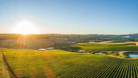Wine And Food At Altitude - Sunshine Coast Tourism 0