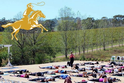 Yoga In The Vines - Sunshine Coast Tourism 0