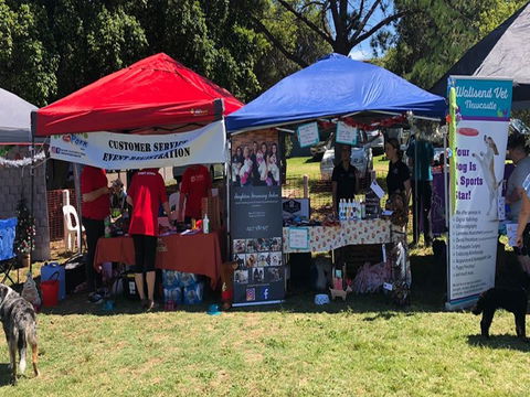 Dogs In The Park NSW Orange - Sunshine Coast Tourism 1