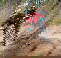 Fox Superflow sealed by Stan's Race  Greenvalleys - Sunshine Coast Tourism