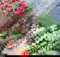 Ma Ma Creek Markets - Holiday Sunshine Coast