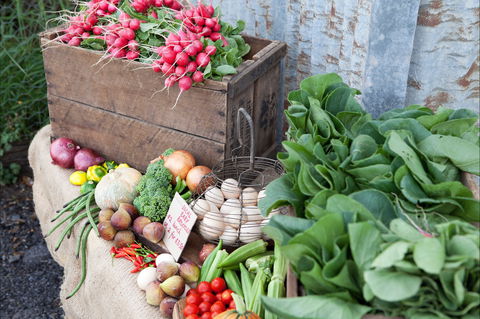Ma Ma Creek Markets - Holiday Sunshine Coast 0