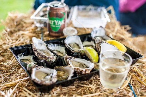 Narooma Oyster Festival - Sunshine Coast Tourism 1
