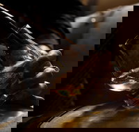 Tasmanian Whisky Week - Sunshine Coast Tourism