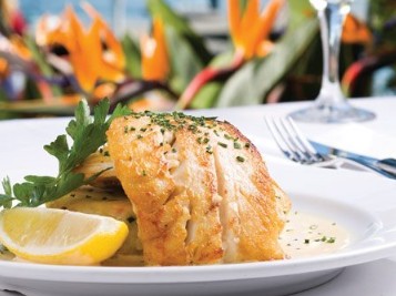 Adria Rybar & Grill - Sunshine Coast Tourism 2