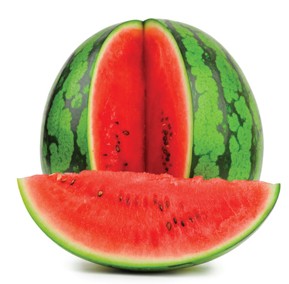 Zenith Gourmet - Sunshine Coast Tourism 0