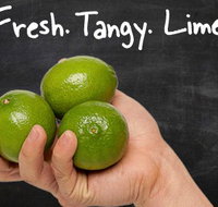 Zambrero Oxford St - Sunshine Coast Tourism