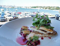 Rosabelle's - Sunshine Coast Tourism 3