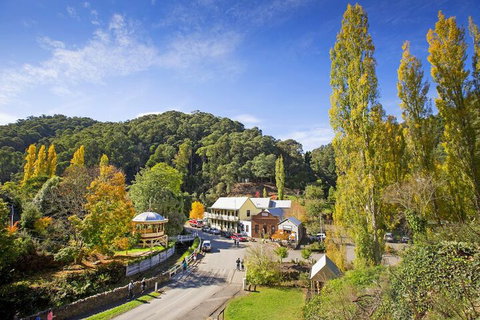 Walhalla's Star Hotel - Holiday Sunshine Coast 2