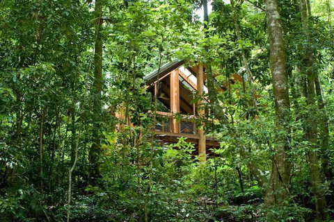 The Canopy Rainforest Treehouses And Wildlife Sanctuary - Holiday Sunshine Coast 1