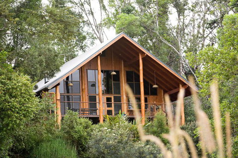 The Canopy Rainforest Treehouses And Wildlife Sanctuary - Holiday Sunshine Coast 2