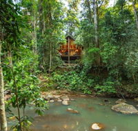 The Canopy Rainforest Treehouses and Wildlife Sanctuary - Sunshine Coast Tourism