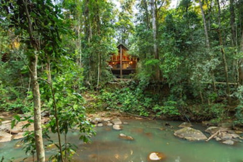 The Canopy Rainforest Treehouses And Wildlife Sanctuary - Holiday Sunshine Coast 0