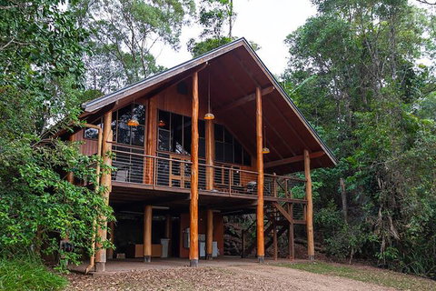 The Canopy Rainforest Treehouses And Wildlife Sanctuary - Holiday Sunshine Coast 3