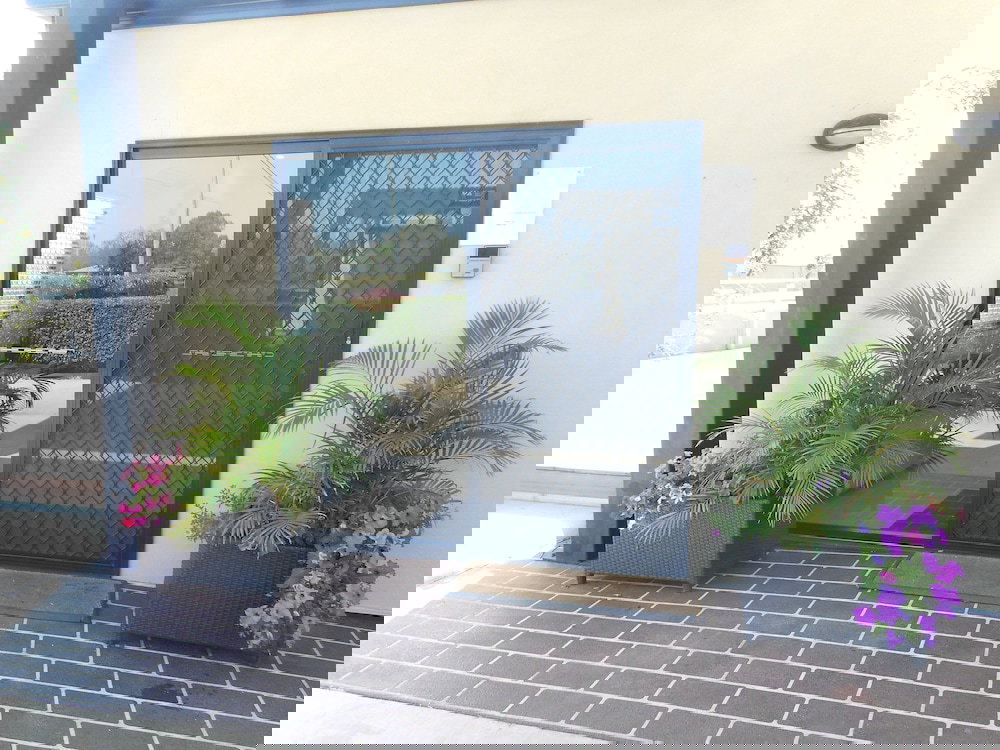 Pony Hills QLD Sunshine Coast Tourism