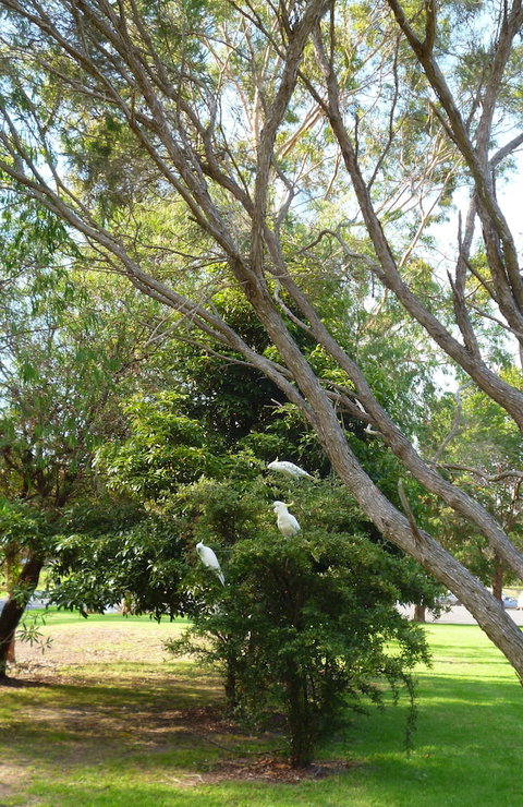 Coachman's Eden - Holiday Sunshine Coast 4