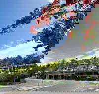 Coconut Grove - Sunshine Coast Tourism