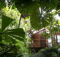 Daintree Wilderness Lodge - Sunshine Coast Tourism