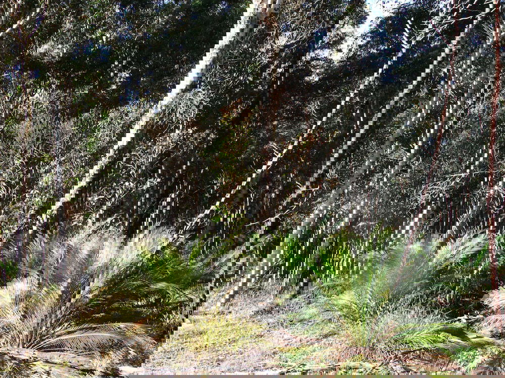  Holiday Sunshine Coast