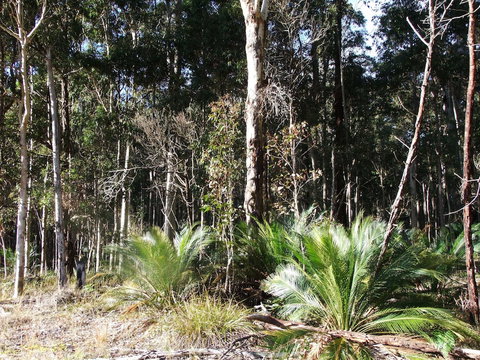 The Bower At Broulee - Sunshine Coast Tourism 0