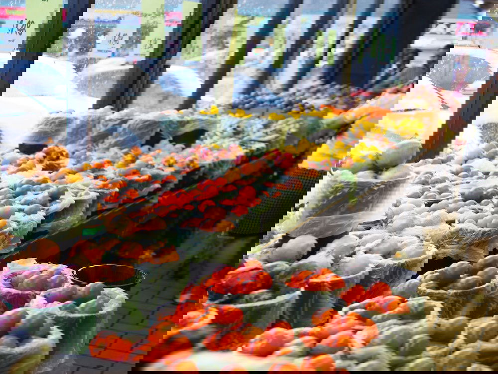 Park Ridge QLD Holiday Sunshine Coast