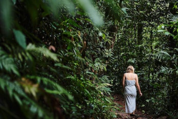 Lower Daintree QLD Holiday Sunshine Coast