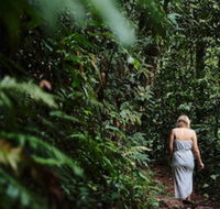 Daintree Ecolodge - Sunshine Coast Tourism