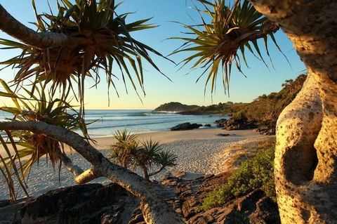 The Beach Cabarita - Sunshine Coast Tourism 2