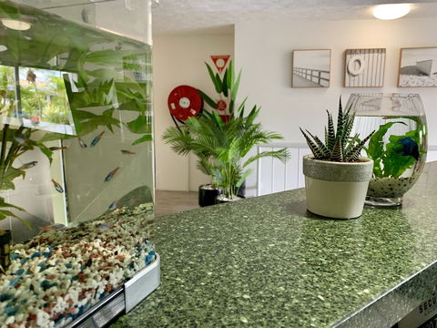 Outrigger Burleigh - Sunshine Coast Tourism 6