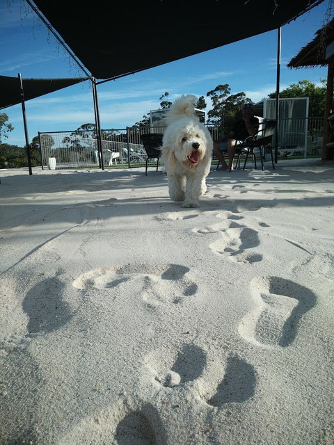 Clare Valley Motel - Holiday Sunshine Coast 5