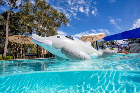 Discovery Parks â€“ Byron Bay - Sunshine Coast Tourism 1