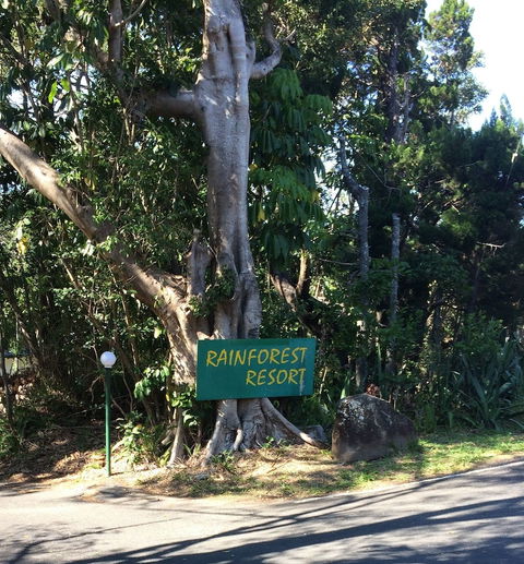Byron Bay Rainforest Resort - Sunshine Coast Tourism 0