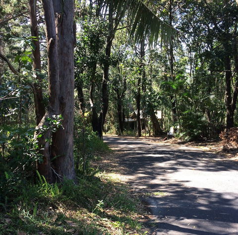 Byron Bay Rainforest Resort - Sunshine Coast Tourism 3