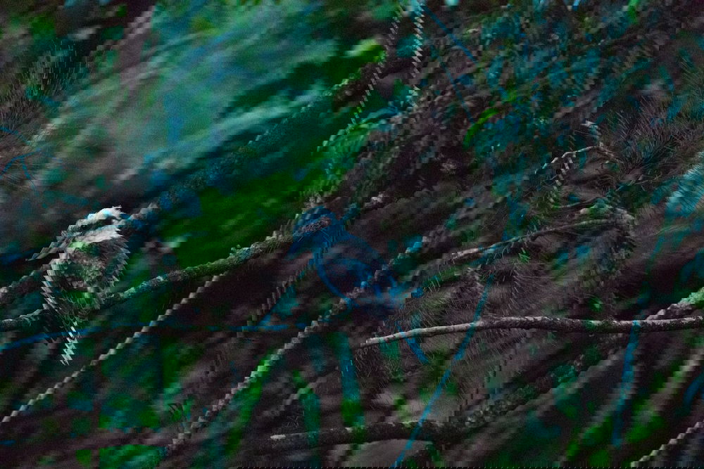  Sunshine Coast Tourism