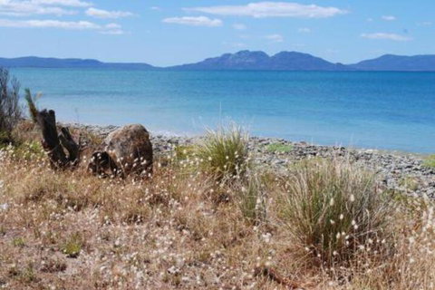 Schouten House - Sunshine Coast Tourism 1