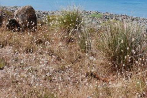 Schouten House - Sunshine Coast Tourism 0