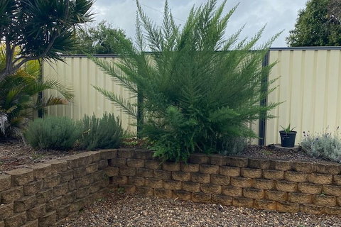 Sunray Motor Inn - Holiday Sunshine Coast 4