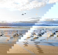 El Paso Motor Inn - Sunshine Coast Tourism