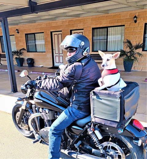 Ascot Lodge Motor Inn Kingaroy - Holiday Sunshine Coast 2