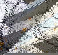 The Sebel Launceston - Holiday Sunshine Coast