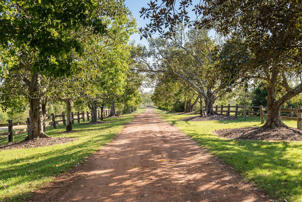 Woolshed QLD Sunshine Coast Tourism