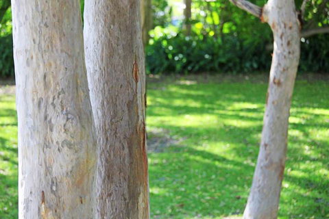 The Retreat Port Stephens - Holiday Sunshine Coast 2