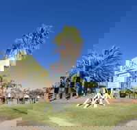 Kalbarri Palm Resort - Sunshine Coast Tourism